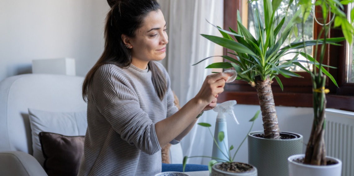 Evde Bitki Yetiştirmenin Faydaları: Stresi Azaltıyor, Odaklanmayı Artırıyor