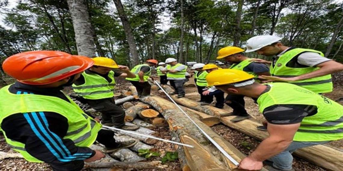Samsun’da Endüstriyel Odun Üretiminde Yüzde 84 Başarı
