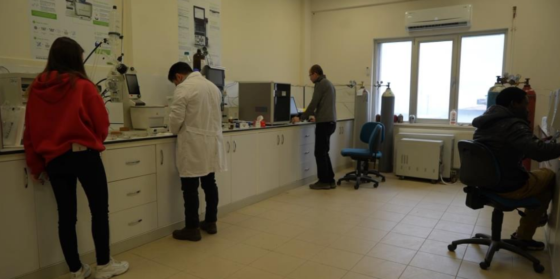 OMÜ Kenevir Araştırmaları Enstitüsü Tıbbi ve Endüstriyel Kenevirde Çığır Açıyor