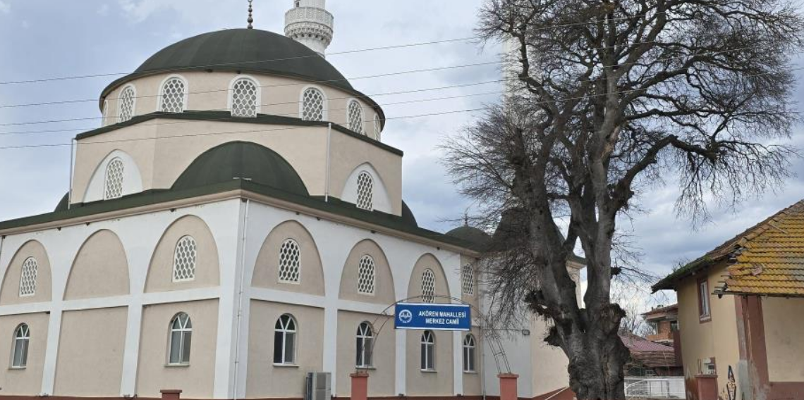 Samsun Vezirköprü’de Asırlık Çitlembik Ağacı İçin Koruma Çağrısı