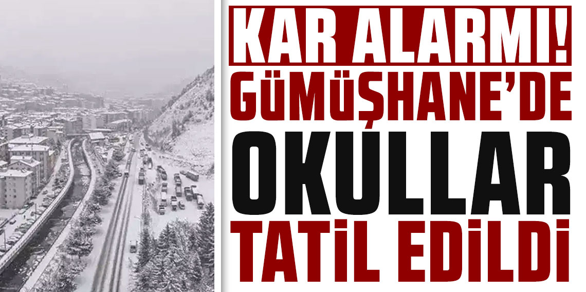 Gümüşhane'de Yoğun Kar Araçlar Yolda Kaldı, Okullar Tatil Edildi