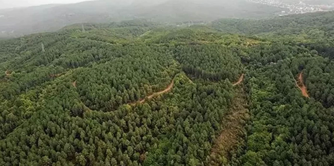 21 ilde bazı alanlar orman sınırları dışına çıkarıldı