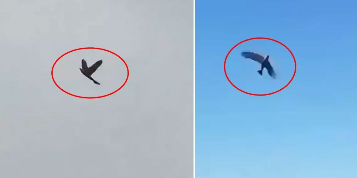 ABD'nin kabusu olacak! Hepsiyle savaşmak zorunda kalabilirler