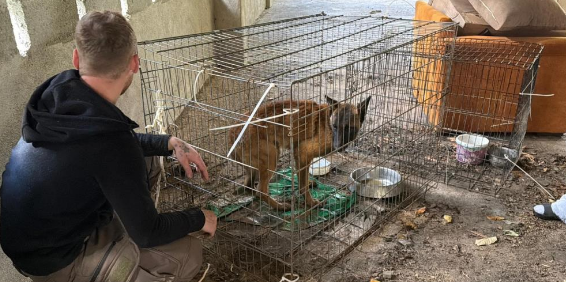 Artvin’de Deport Edilen Rus Kadının Evinde 4 Gün Aç Kalan 6 Kedi ve 6 Köpek Kurtarıldı
