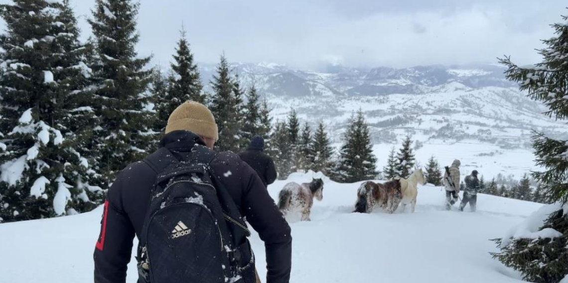 Artvin’de Kar Altında Mahsur Kalan 2 At ve 1 Tay 10 Saatlik Operasyonla Kurtarıldı