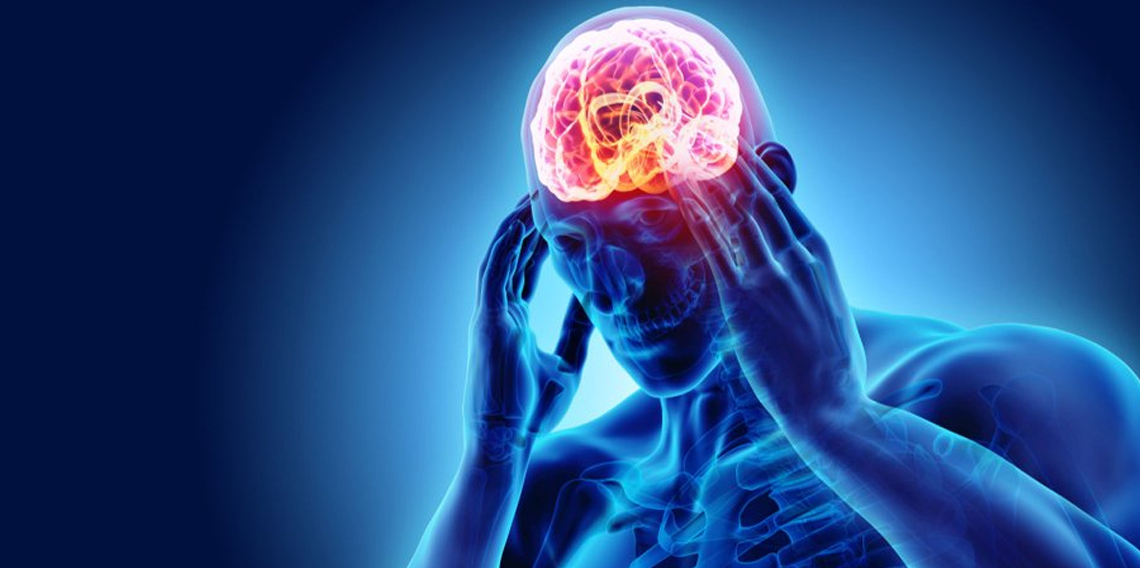 Prof. Dr. İrfan Koca’dan 