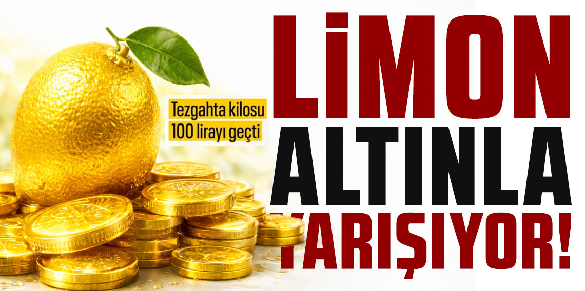 Limonda gümrük vergisine düzenleme: Yüzde 10'a düşürüldü