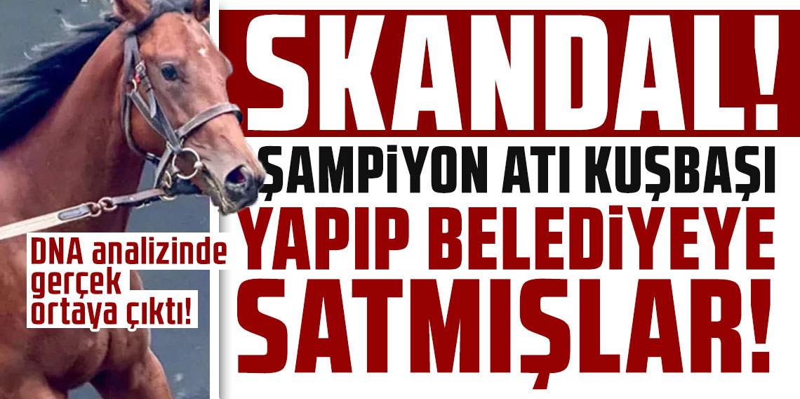Şampiyon atı kuşbaşı yapıp belediyeye satmışlar! DNA analizinde gerçek ortaya çıktı