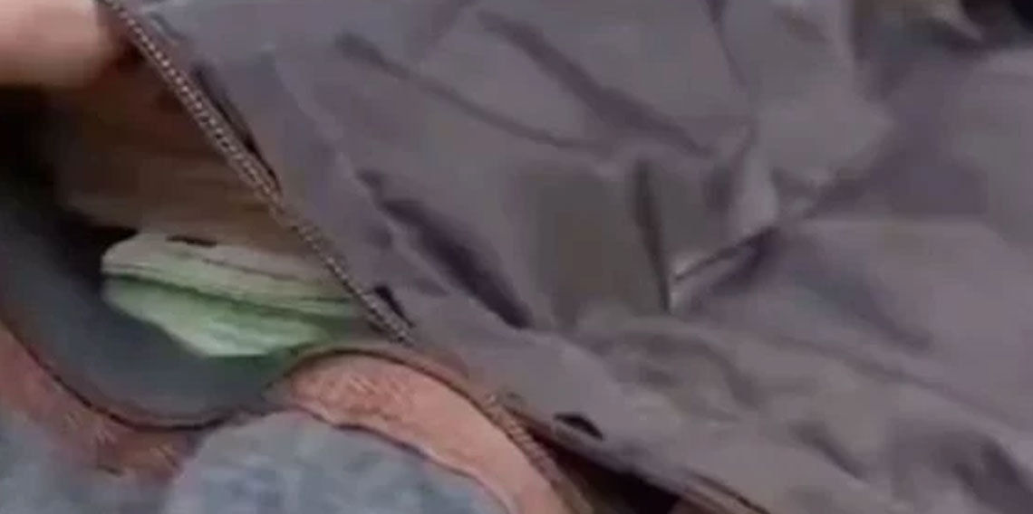 Sırbistan'tan Türkiye'ye gitmek isterken üzerinde 374 bin euro ile yakalandı