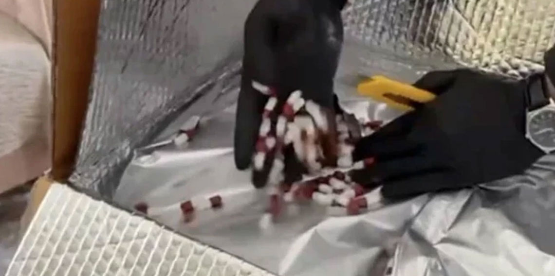 İstanbul'da uyuşturucu operasyonu: 5 şüpheli yakalandı