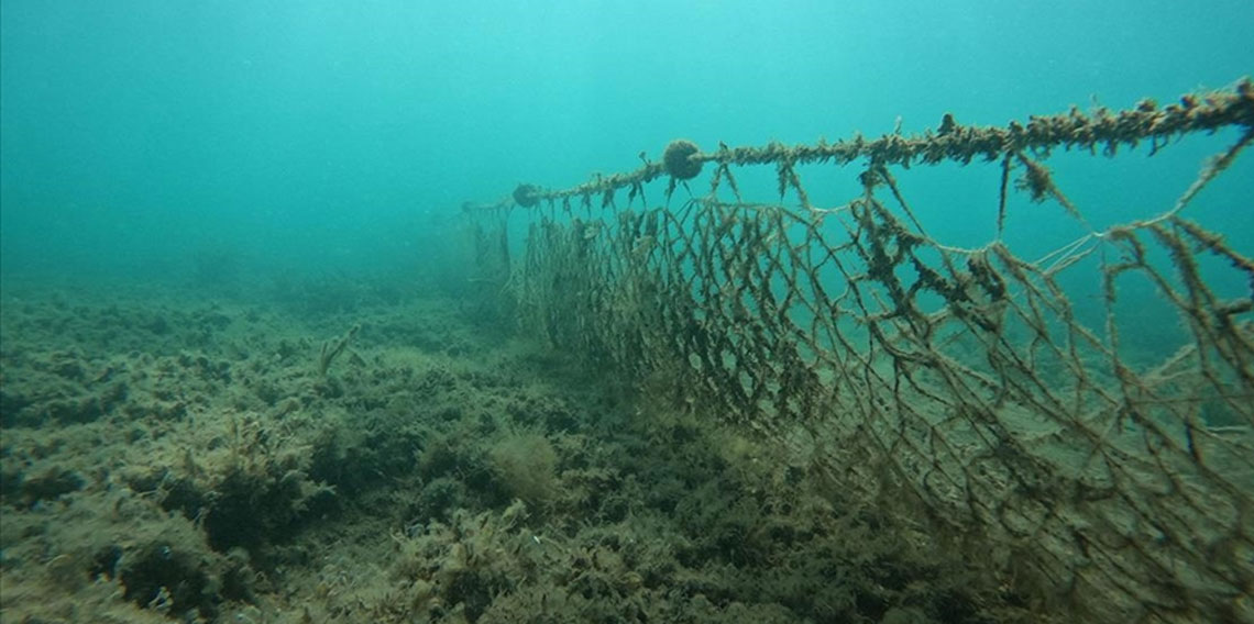 Balıkçıların kabusu oldu