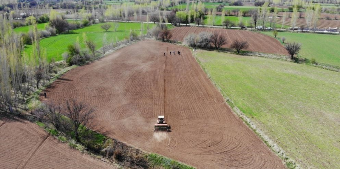 Tarım ÜFE Şubat’ta Yıllık %40,10 Arttı, Yumuşak ve Sert Çekirdekli Meyveler Zirvede