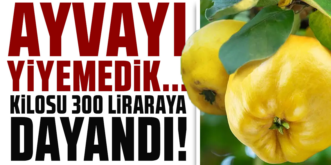Ayvayı yiyemedik...Kilosu 300 liraya dayandı, lüks oldu