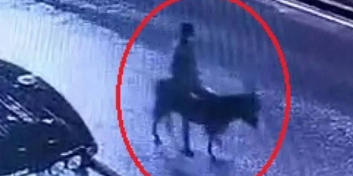 Eşekli kuyumcu soygununda iddianame hazırlandı!