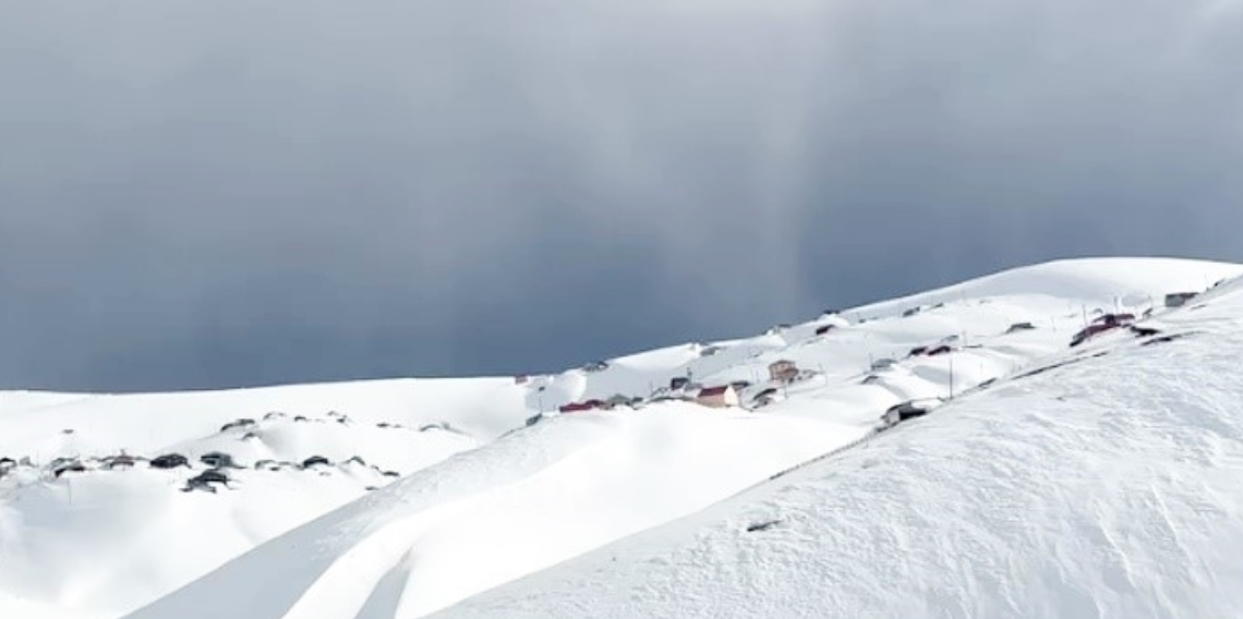 Doğu Karadeniz’de Ayılar Çatıdan Eve Girdi 