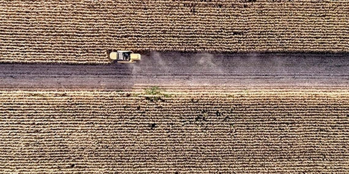 DMM'den Türkiye'de gübre krizi yaşandığı iddiasıyla ilgili açıklama