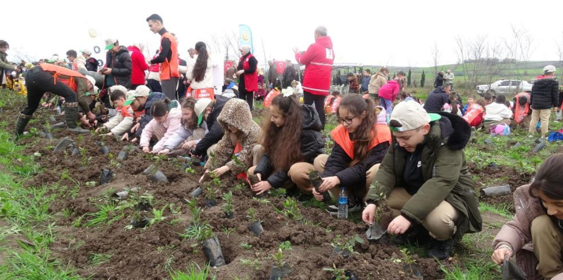 Bafra’da Minik Eller Doğaya Can Verdi. 3 Bin Fidan Toprakla Buluştu