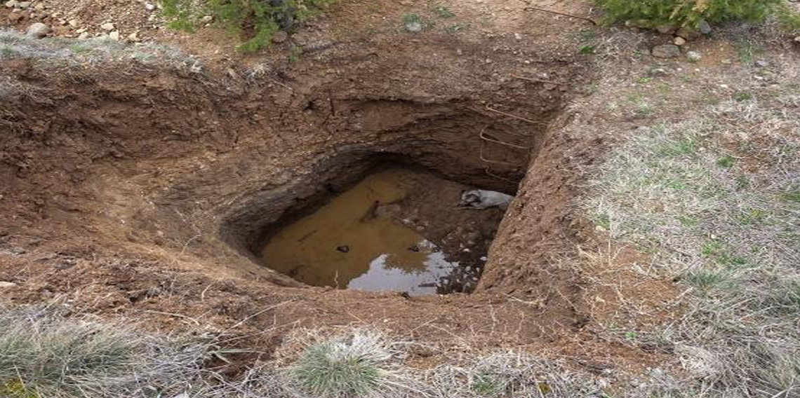 Ankara'da kaçak kazının yapıldığı çukura düşen köpek kurtarıldı