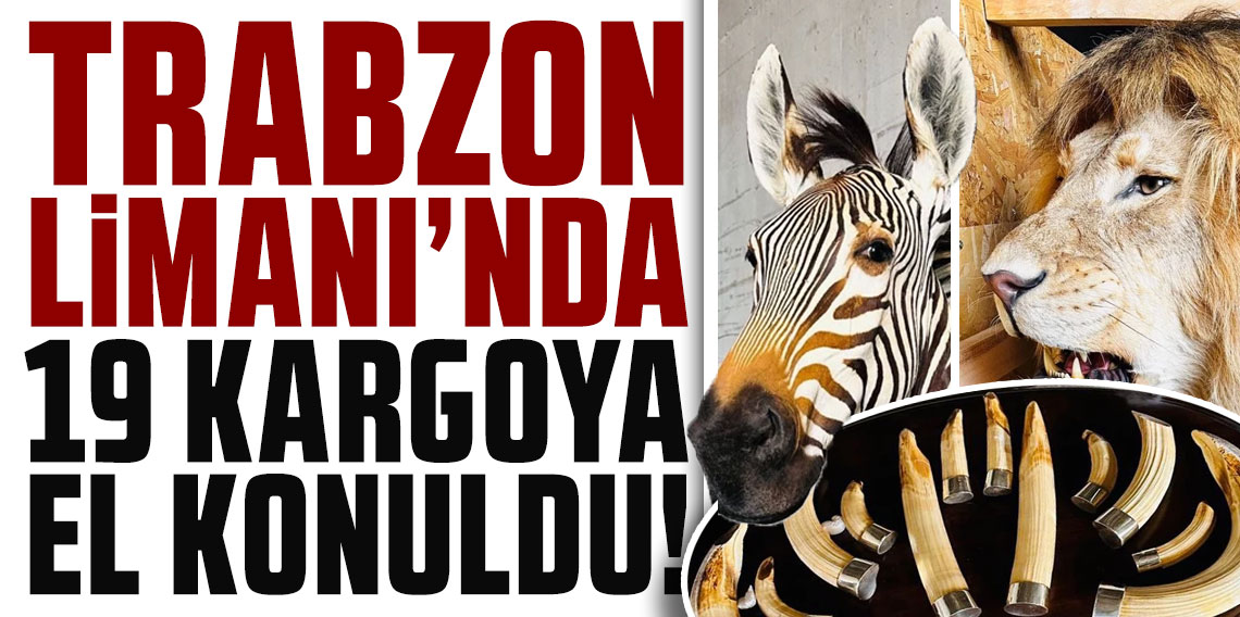 Bakanlık, Trabzon Limanı'nda 19 kargoya el koydu! İçinden çıkanlar şoke etti