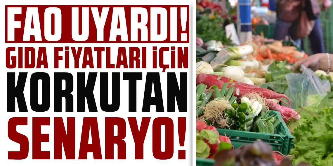 FAO uyardı: Gıda fiyatları için korkutan senaryo