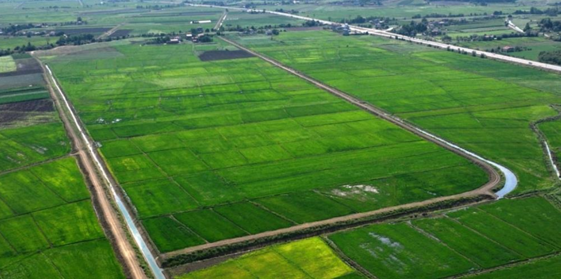 Samsun'da bozulan tarım arazileri cezasız kalmadı: 48 işlem uygulandı