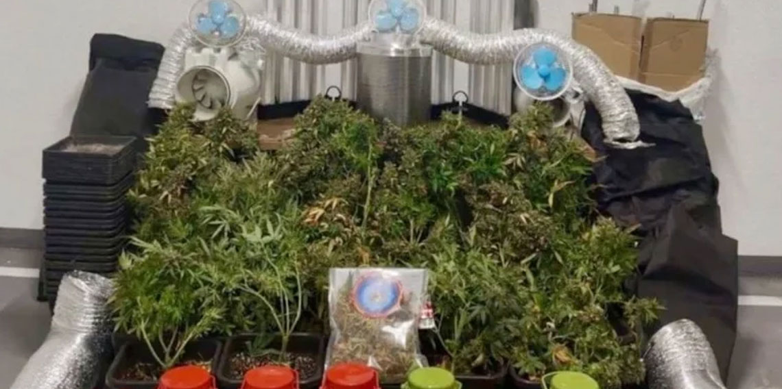 25 ilde narkotik operasyonu: 99 şüpheli tutuklandı