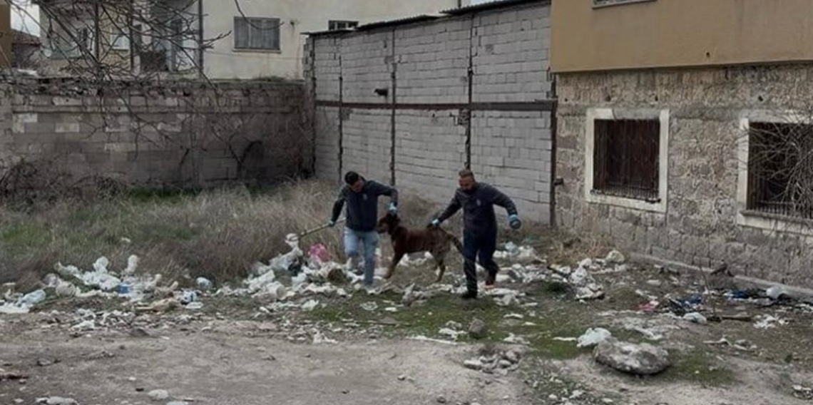 3 yaşındaki çocuğuna köpek saldıran baba: 