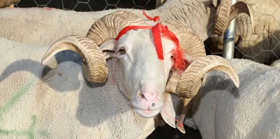 2026 Kurban Bayramı tarihi... Kurban Bayramı tatili kaç gün olacak?