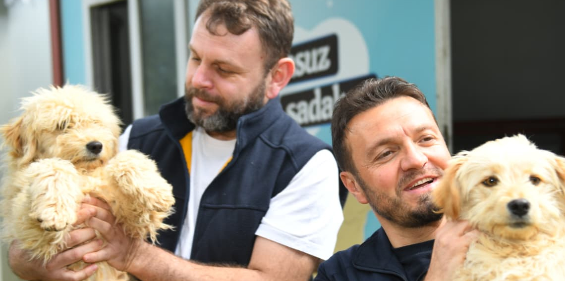 Dünya Sokak Hayvanları Gününde Anlamlı Çağrı