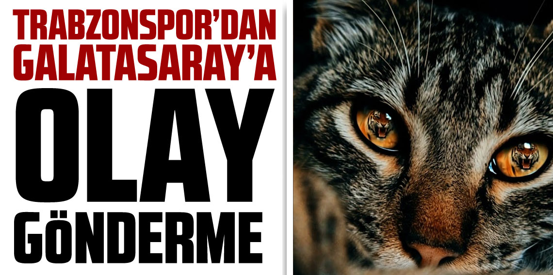 Trabzonspor'dan maç sonu Galatasaray'a gönderme!