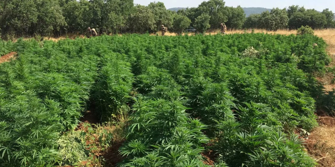 Diyarbakır'da 22 kilo esrar ele geçirildi