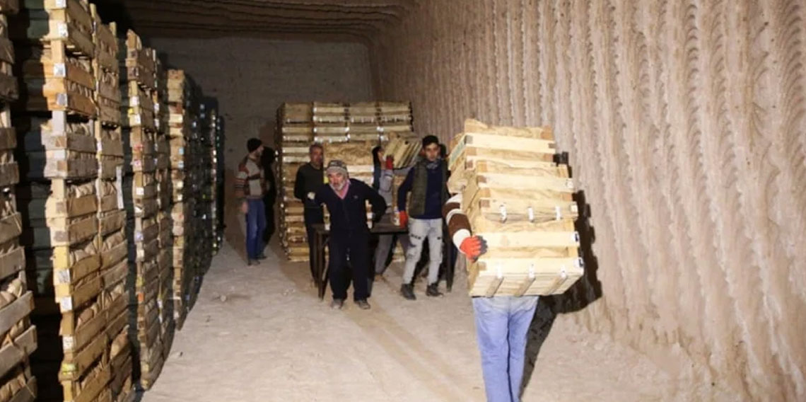 Kapadokya'daki doğal mağaralarda 'yatak limon' depolanıyor