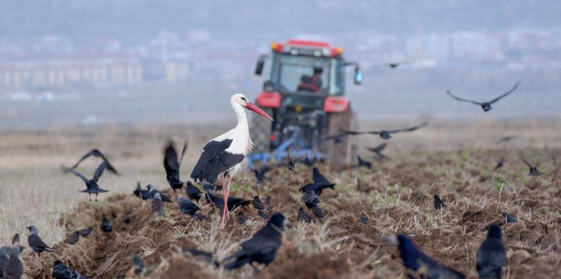 Çiftçilere zirai don uyarısı