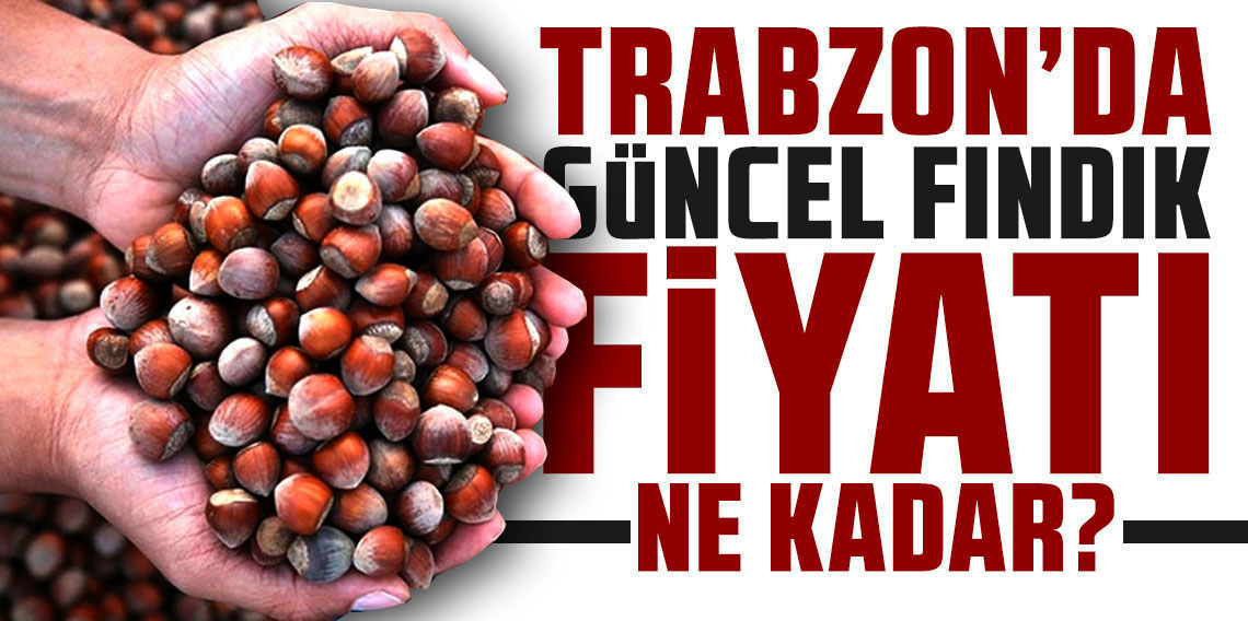 Trabzon’da fındık fiyatı ne kadar? İşte 8 Nisan tablosu