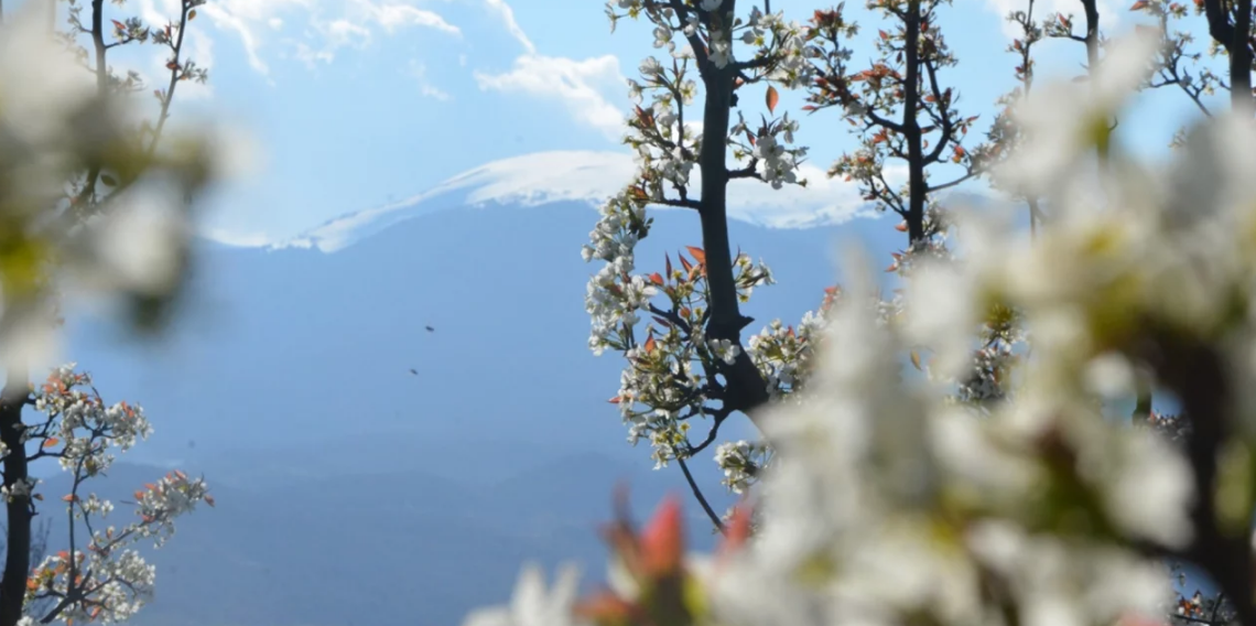 Ladik Akdağ'da nisan karı sürprizi
