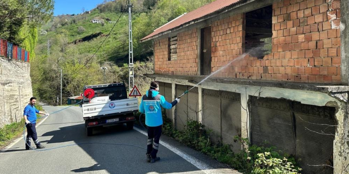 Trabzon’da Kahverengi Kokarca Alarmı: Büyükşehir ve Tarım Müdürlüğü 20 Personel ile Mücadele Ediyor