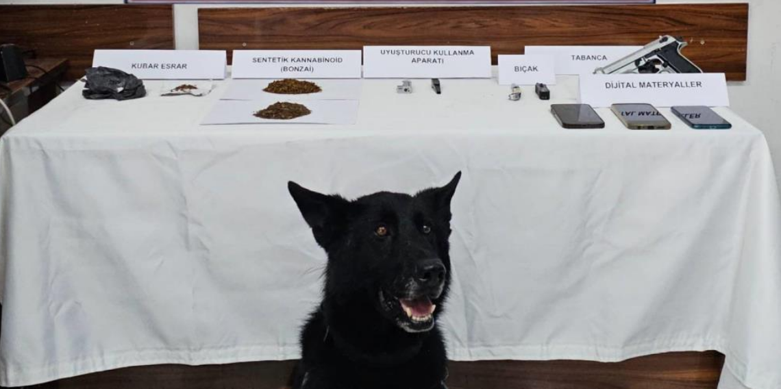 Tokat'ta jandarmadan zehir tacirlerine operasyon