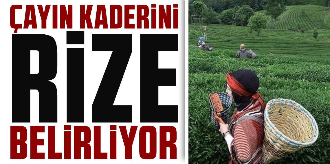 Rize çay ihracatında birinci