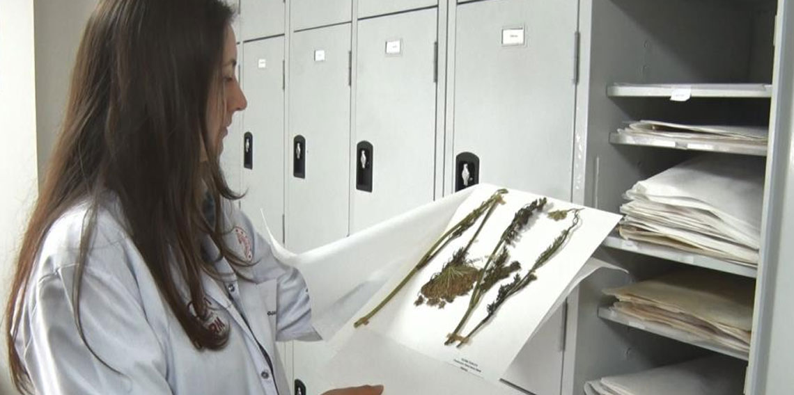 İran gerilimi sonrası gözler gıda güvenliğine çevrildi