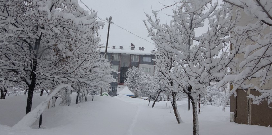 Ülkemizde kar esareti devam ediyor