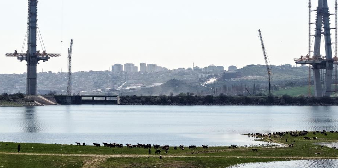 İstanbul'un yeni yüzü; köprü yükselirken keçiler merada