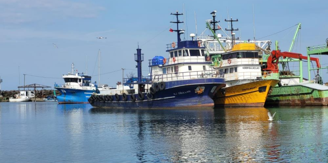 Balıkçılıkta genel av yasağı 15 Nisan'da başladı