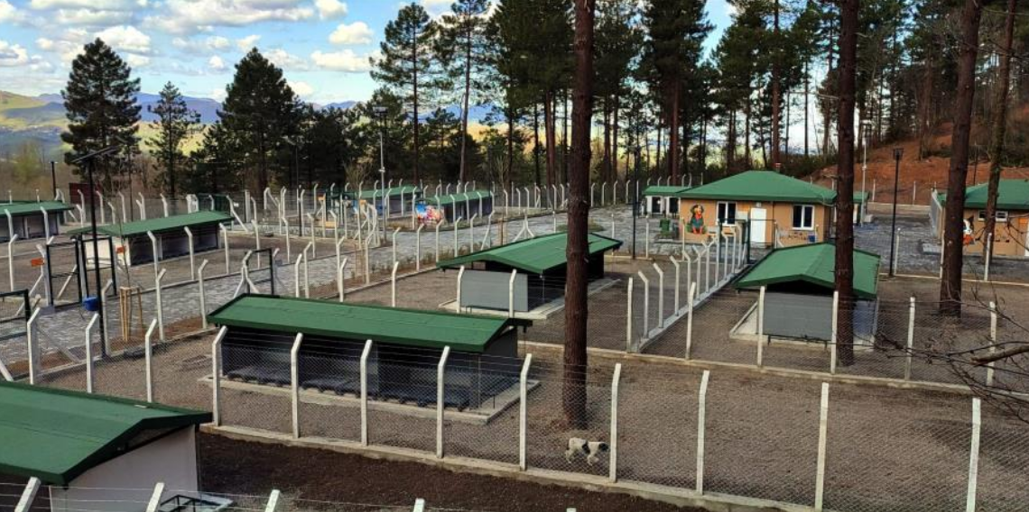 Ünye’de sahipsiz hayvanlar için örnek tesis tamamlanıyor