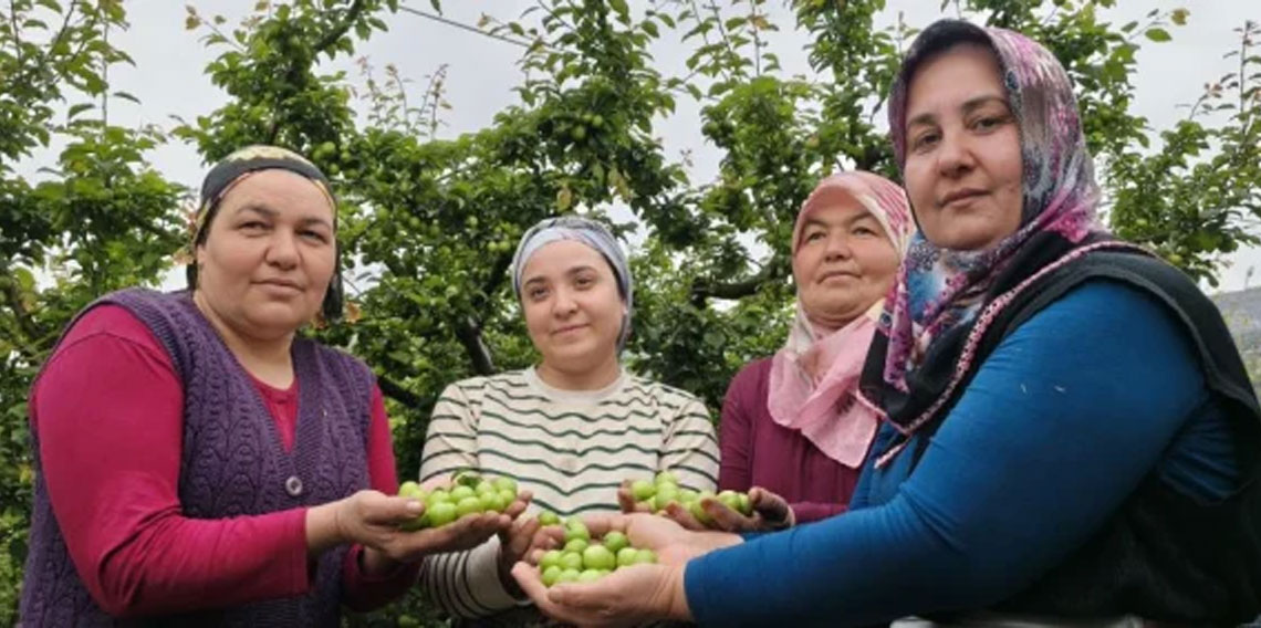 Hasadı başladı, fiyatı 200 TL'ye kadar düştü!