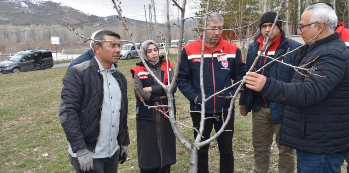 Bayburt’ta Üreticilere “Meyvecilikte Aşılama ve Budama” Eğitimi