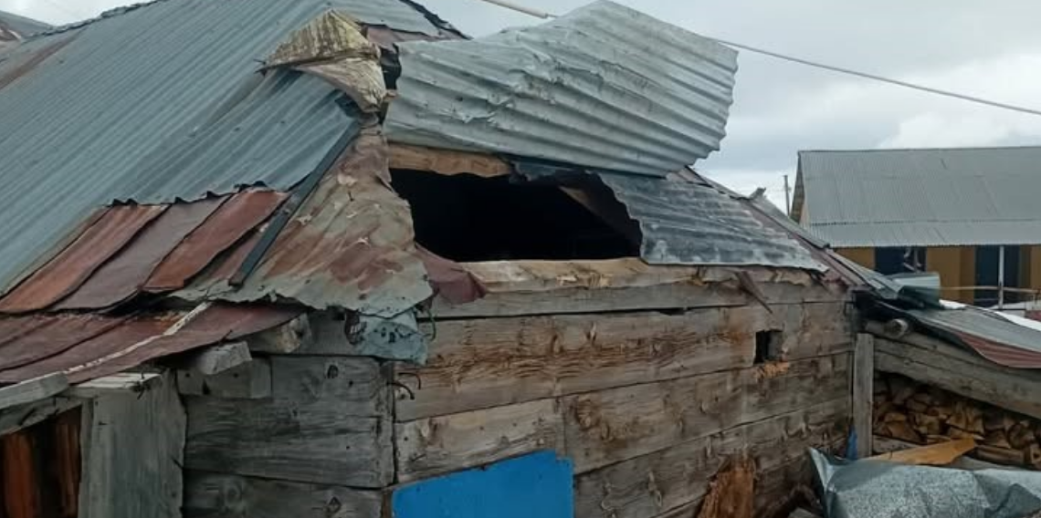 Gümüşhane yaylalarında ayı dehşeti devam ediyor