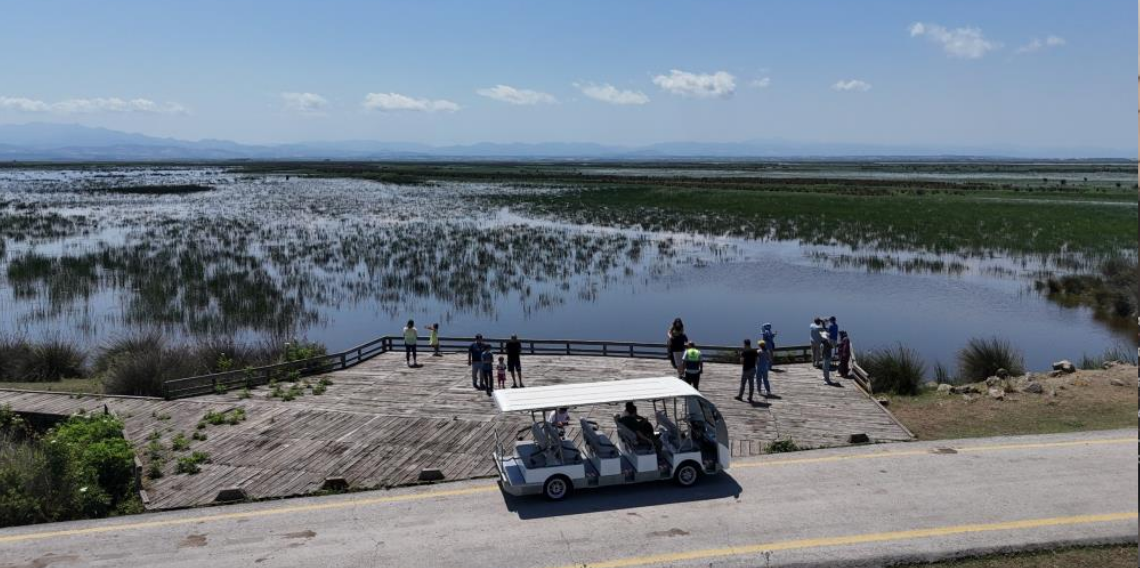 Kızılırmak Deltası Kuş Cenneti’nde bahar coşkusu
