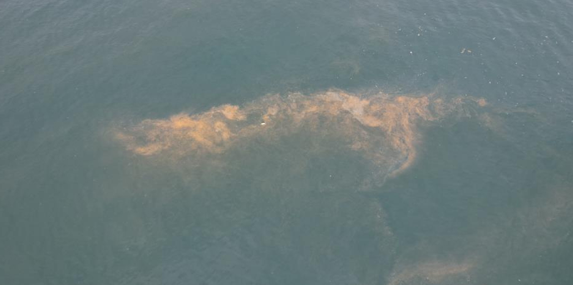 Avcılar kıyılarında tedirgin eden görüntü