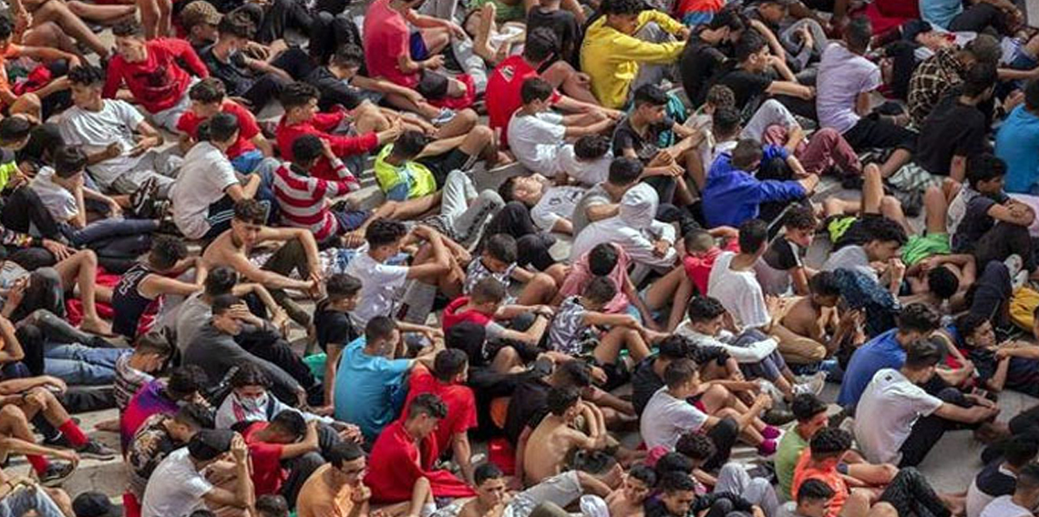 Uluslararası Göç Örgütü: 