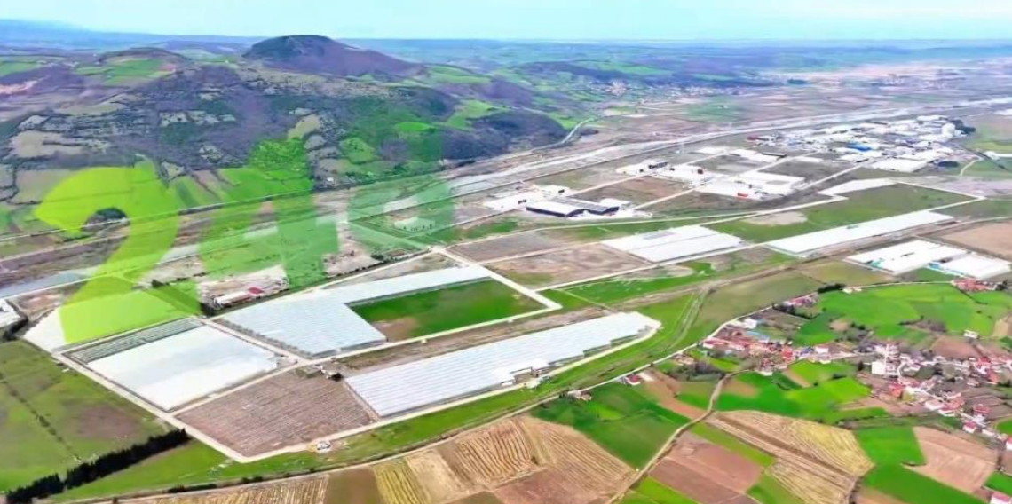 Bafra’da Modern Tarım Atağı: Sera OSB ile Karadeniz’de Üretim Üssü Kuruluyor
